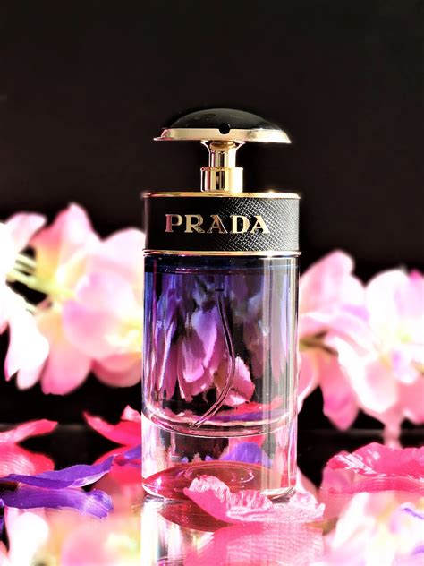 prada candy night avis|Prada Candy night.